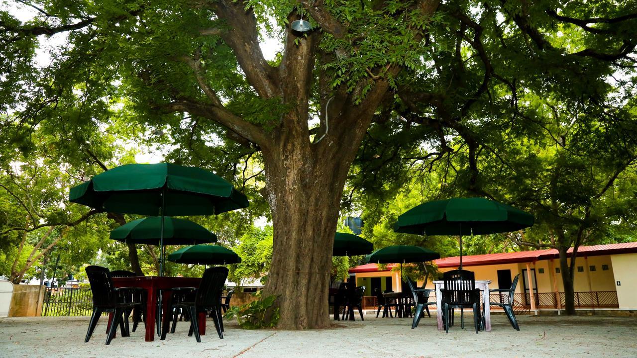 Malwathu Oya Caravan Park Bed and Breakfast Anuradhapura Exterior foto